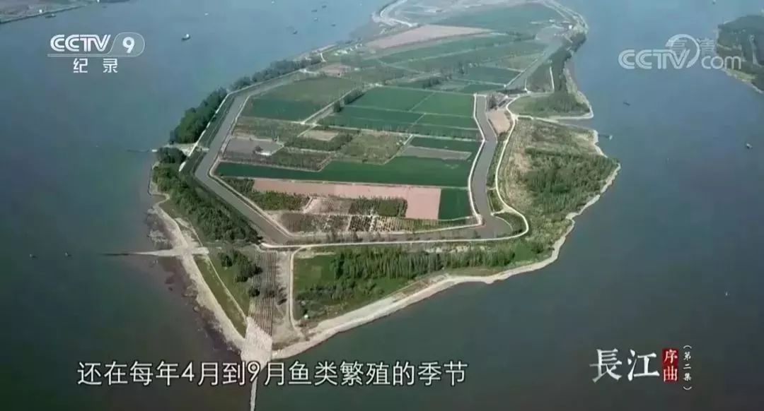 安貝斯<a href=http://www.anlpsonline.com target=_blank class=infotextkey>控制臺</a>