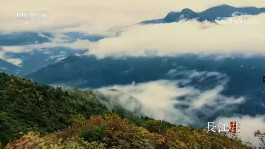 安貝斯<a href=http://www.anlpsonline.com target=_blank class=infotextkey>控制臺</a>